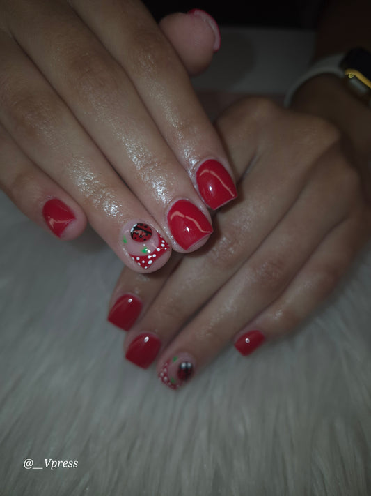 Acrylic Overlay