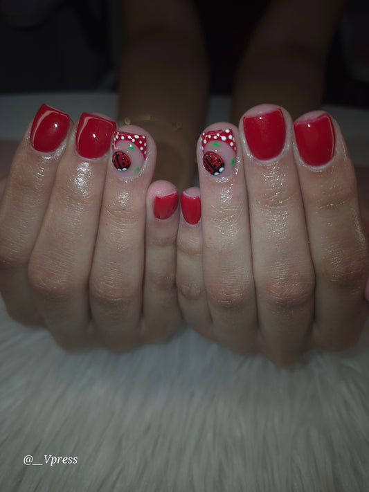 Acrylic Overlay